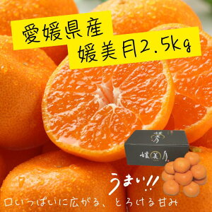 yP2{zyx12xȏIʁzQY Q Ђ߂݂Â 2.5kg ʕ t[c H { ݂ k   Ε  Mtg