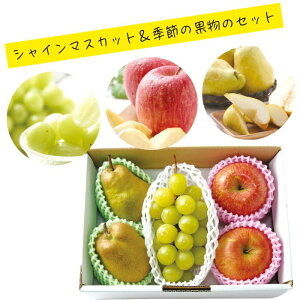 VC}XJbgƋG߂̉ʕZbg ʕ t[c H { VC}XJbg tX    Ε  Mtg Tӂ