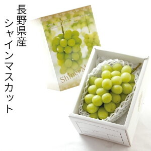 쌧Y VC}XJbg 1[ 550g×1[ ʕ t[c H { Ԃǂ 炲   Ε 蕨