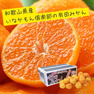 a̎RY Ȃy̗Lc݂ ʕ t[c H { ݂ k   Ε  Mtg