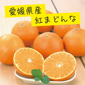 QY g܂ǂ 1.7kg ʕ t[c H { ݂ k   Ε  Mtg