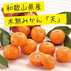 a̎RY ؏n݂uVv 3kgi30`40j ʕ t[c H { ݂ k   Ε  Mtg