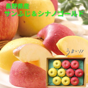 쌧Y TӂVimS[h ь S ʕ H   t[c