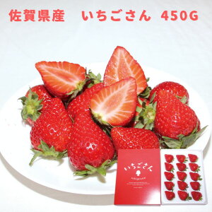 ꌧY 450g ʕ H   t[c Mtg  C`S