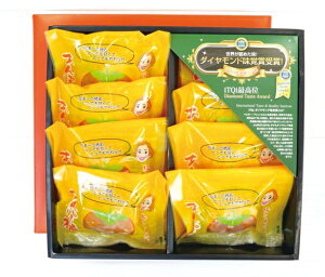 IBR Ղۊ`8 MAP-8 ʕ H   t[c