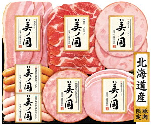 {n kC v~A m UKH-38 Mtg 蕨 Ԃ n ECi[ ē p lߍ킹 lC i Fl e Ƒ e  j j j  