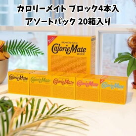 【送料無料】カロリーメイト ブロック アソートパック 4本×20箱 非常食 栄養補助食品 長期保存 5種の味 まとめ買い