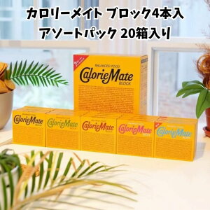 yzJ[Cg ubN A\[gpbN 4{×20 H h{⏕Hi ۑ 5̖ ܂Ƃߔ