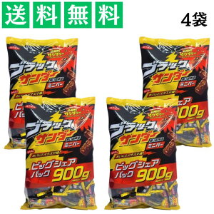 Ly ubNT_[ rbOVFApbN 900g×4  Mtg v[g َq ʉَq NX}X o^C Cxg  ܂Ƃߔ