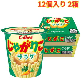 じゃがりこ サラダ味 57g ×12個 2箱 お菓子 スナック シェアパック ホームパーティー まとめ買い