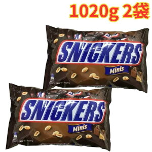 �X�j�b�J�[�Y �~�j�`���A 1020g 2�� �X�i�b�N �`���R���[�g �p�[�e�B�[ ��e��