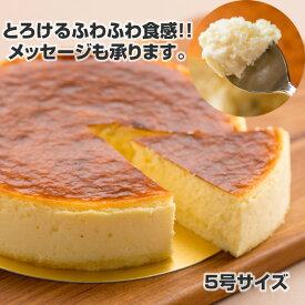 【 送料無料 】 半生チーズケーキ (岡山・撫川ふるさと) サンドリヨン [ バレンタイン ふわふわ食感 濃厚 チーズ バースデーケーキ 誕生日ケーキ バースデー 誕生日 記念日 結婚 出産 引越 還暦 祝い ケーキ お取り寄せ プチギフト スイーツ 本命 義理 瀬戸内 岡山 ]