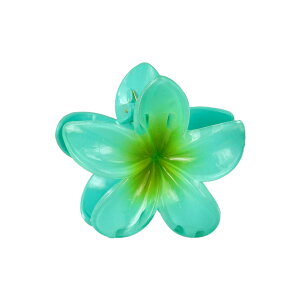 wANbv vA t[  J[ 80mm oXNbv | OSEWAYA wAANZT[ wAANZ fB[X  l v[g Mtg  JWA  IV 