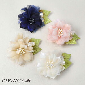 yzRT[W ~jt[  [t p[ s Nbv | OSEWAYA ANZT[ fB[X Ǝ w  tH[}  s 