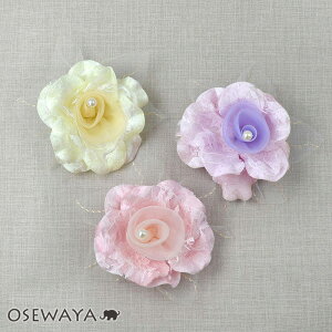 RT[W t[  [Y KN [X p[ s Nbv | OSEWAYA ANZT[ fB[X Ǝ w  tH[}  s 