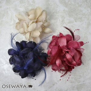 RT[W {[t[ tFU[ s Nbv | OSEWAYA ANZT[ fB[X Ǝ w  tH[}  s 