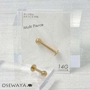 {fBsAX S[h ubgX^bh 14G O V[g y1̔zςȂ Vv  l Mtg v[g