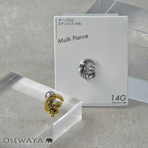 {fBsAX O [ ^ JG Xg[go[x lW T[WJXeX 14G y1̔z | OSEWAYA ANZT[ fB[X  l v[g Mtg a