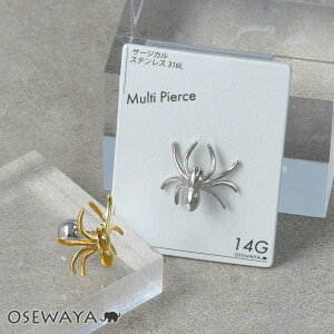 {fBsAX w N XpC_[ Xg[go[x lW T[WJXeX 14G y1̔z | OSEWAYA ANZT[ fB[X  l v[g IV 