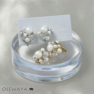 yzCO jbPt[ NbV[ ^ ou p[ rW[ NA r[Y lWolCO | OSEWAYA ANZT[ fB[X AM[  l v[