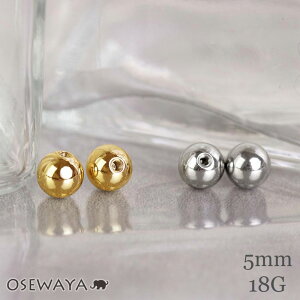 {fBsAX XeX Lb` ֋ 18G {[ 5mm lW 2 | OSEWAYA ANZT[ fB[X  l v[g a