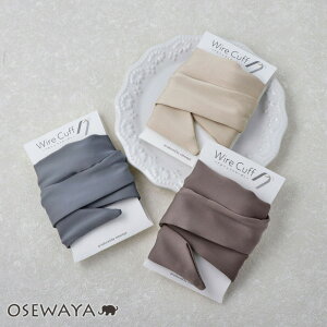 wAJt jAXJ[ { C[Jt |j[tbN | OSEWAYA wAANZT[ wAANZ fB[X  l v[g Mtg  JWA IV