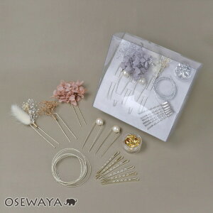 yzwAs hCt[ p[ Us cCXg As   13Zbg wAAWZbg | OSEWAYA wAANZT[ wAANZ fB[X  l v[g