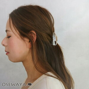 wANbv oXNbv hCc }[u | OSEWAYA wAANZT[ wAANZ fB[X  l v[g Mtg  JWA  IV 킢  V