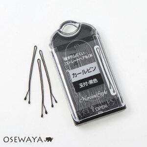 wAs AJs ʕtEF ubN ꂵɂ Xg[gwAOK | OSEWAYA wAANZT[ wAANZ fB[X  l v[g Mtg  JWA  