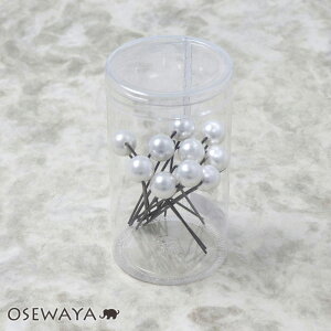 wAs 1cmp[Us10{Zbg wAANZT[ { l i GKg JWA ItBX fB[X wAAW Mtg ȒP  y ܂Ƃߔ 