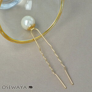 wAs jbPt[ p[ 12mm Usy1̔z | OSEWAYA wAANZT[ wAANZ fB[X  l v[g Mtg  JWA  IV 킢  