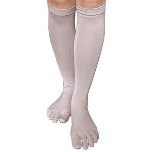 В̌CR nC\bNX fB[X 1 22-25cm { VN KXVPbg   L p  ƃPA ێ 5{w   ubN x[W O[ ʋ ʊw Mtg v