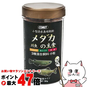 yő400~OFFN[|zCgXC Rbg ^Wp _JE싛̎H ɒ~^Cv 50gyhappiestzySBTz (6030311)