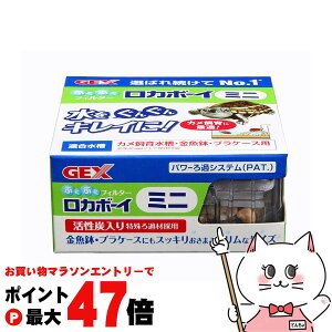 yő400~OFFN[|zWFbNX J{[C~j RMi-1yhappiestzySBTz(6031527)