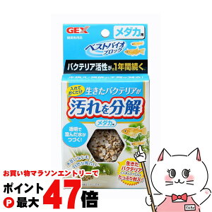 yő400~OFFN[|zWFbNX xXgoCIubN _JpyhappiestzySBTz(6031539)