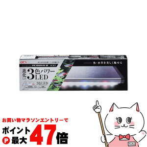 yő400~OFFN[|zWFbNX NALED POWER3 300yhappiestzyz֑z(6031559)