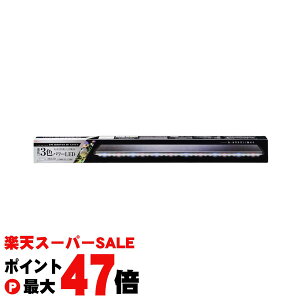 yyVX[p[SALEő47{zWFbNX NALED POWER3 900yhappiestzy120TCYzyz֑ziƂ̓s (6031562)