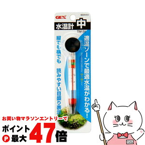 yő400~OFFN[|zWFbNX v  TM-34yhappiestzySBTz(6031567)