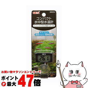 yő400~OFFN[|zWFbNX ~j~jfW^ v DT-15yhappiestzySBTz(6031568)