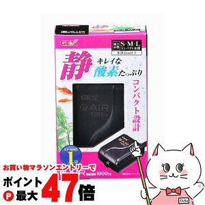 y}\ő47{zWFbNX e-AIR 1000SByhappiestzySBTz(6031572)