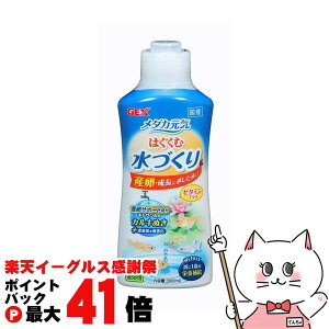 y}\ő47{zWFbNX _JC ͂ސÂ 300mlyhappiestzySBTz(6031587)