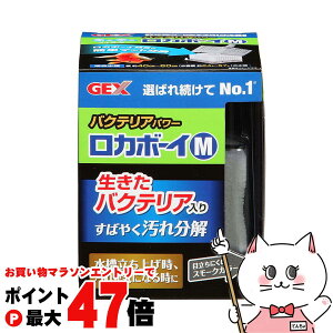 y}\ő47{zWFbNX J{[CM oNeAp[yhappiestzySBTz(6032676)