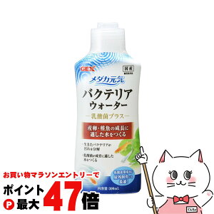 yő400~OFFN[|zWFbNX _JC oNeAEH[^[ 300mlyhappiestzySBTz(6032855)