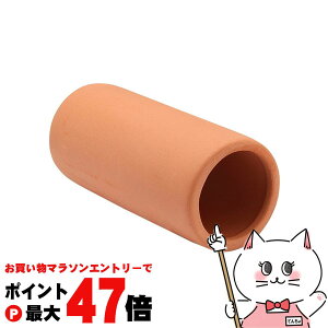 y}\ő47{zWFbNX i fẲB ۓyǃ~jyhappiestzySBTz(6032863)