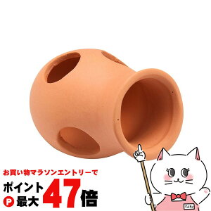 yő400~OFFN[|zWFbNX i fẲB ڃ~jyhappiestzySBTz(6032865)