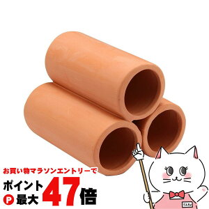 y}\ő47{zWFbNX i fẲB ۓyǃ~j3AyhappiestzySBTz(6032885)