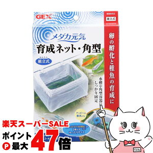 yő400~OFFN[|zWFbNX _JC 琬lbg p^yhappiestzySBTz(6032987)