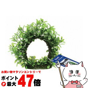 yő400~OFFN[|zXyNguYWp eg EH[^[[X SyhappiestzySBTz(6033008)