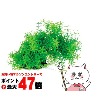 y}\ő47{zXyNguYWp eg tLVuvg FP-1yhappiestzySBTz(6033009)