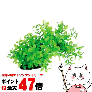 yő400~OFFN[|zXyNguYWp eg tLVuvg FP-2yhappiestzySBTz(6033010)